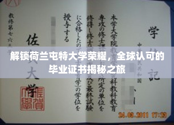 解锁荷兰屯特大学荣耀，全球认可的毕业证书揭秘之旅