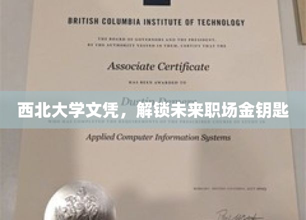 西北学府荣耀证，职场大门为你开