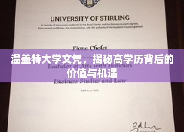 解码高学历魅力，温盖特大学文凭的潜藏价值与无限机遇
