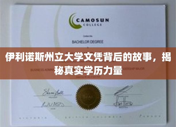 伊利诺斯州立大学文凭背后的故事，揭秘真实学历力量