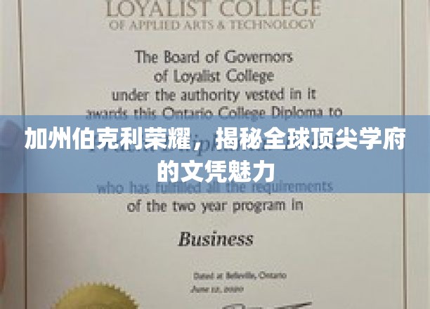 伯克利荣耀再现，探索世界级学府文凭的非凡吸引力