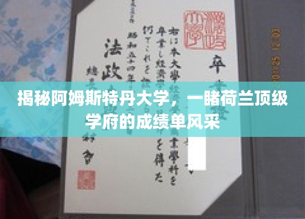 荷兰阿姆斯特丹大学：一窥荷兰顶级学府的学术风采