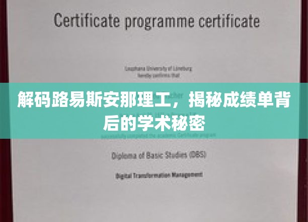 揭秘路易斯安那理工学术卓越之谜