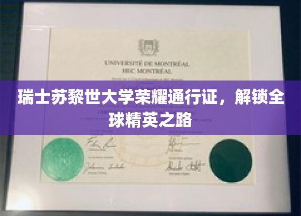 苏黎世大学荣耀通行证，全球精英启航之门