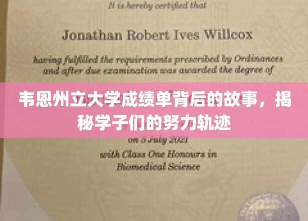 韦恩州立大学成绩单背后的故事，揭秘学子们的努力轨迹
