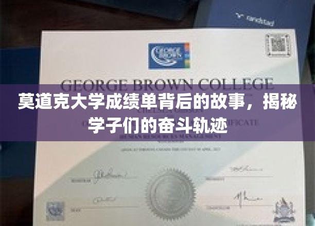 揭开莫道克大学成绩单背后的奋斗篇章