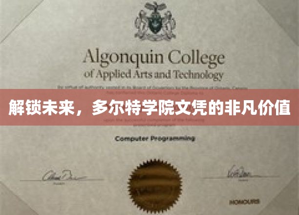 多尔特学院文凭，开启你的非凡未来之路