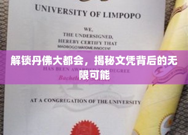 丹佛大都会文凭奥秘大揭密，探寻无限可能的新篇章
