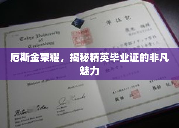 厄斯金荣耀，揭秘精英毕业证的非凡魅力