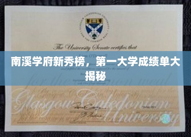 南溪学府精英荟萃，独家首曝第一学府成绩秘籍