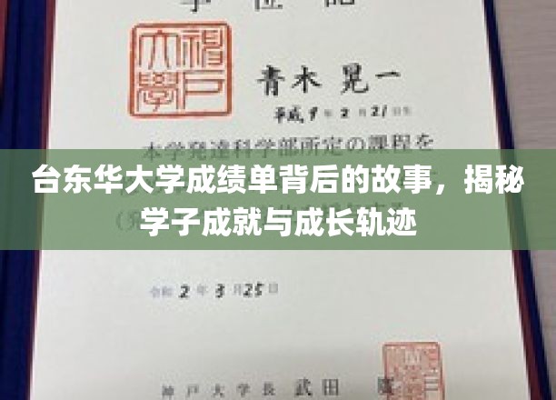 台东华学子足迹，成绩单背后的人生画卷