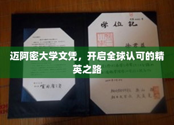 迈阿密大学荣耀，成就国际精英梦