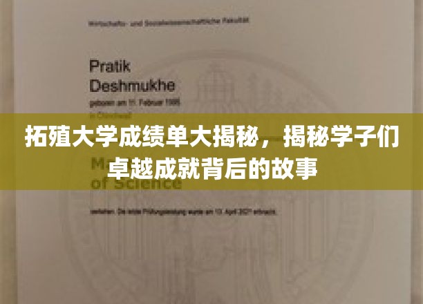拓殖大学成绩单大揭秘，揭秘学子们卓越成就背后的故事