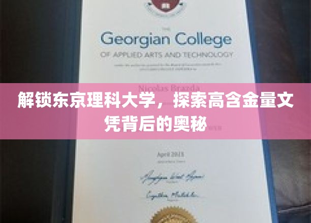 解锁东京理科大学，探索高含金量文凭背后的奥秘