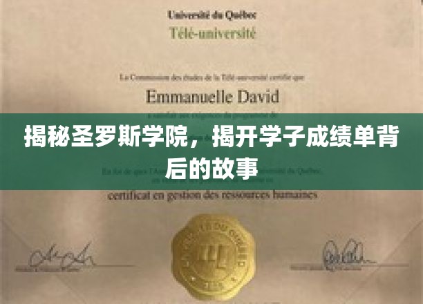 解码圣罗斯精英榜，揭开学子辉煌成绩背后的秘密世界
