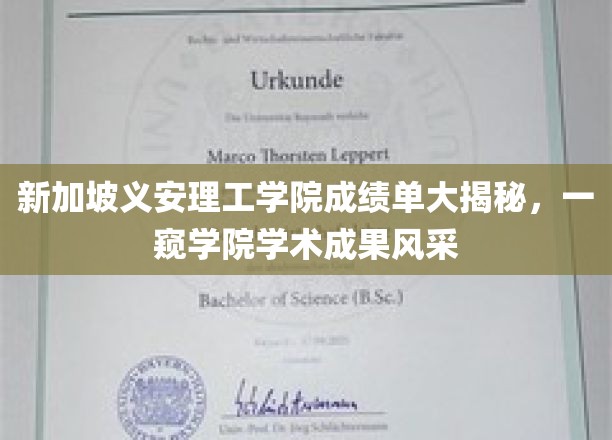 新加坡义安理工学院，揭秘学术风采，成绩单背后的卓越成就
