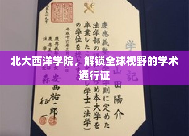 跨越北大西洋，开启全球视野的学术之旅