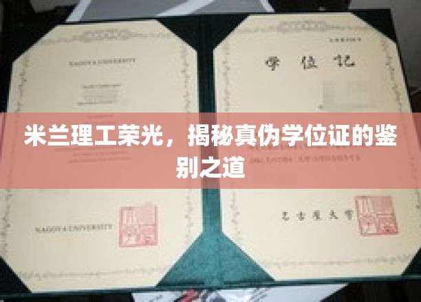 真假难辨？米兰理工学位证鉴定指南，揭秘认证真伪的奥秘