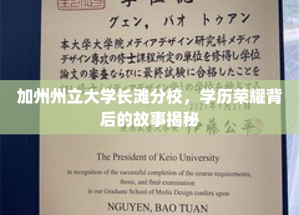 探寻加州州立大学长滩分校辉煌学位背后的传奇篇章