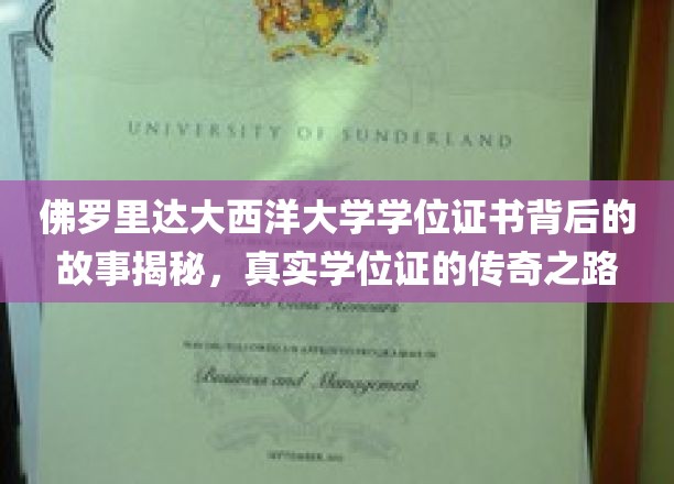 解码佛罗里达大西洋大学，学位证书背后的传奇之旅