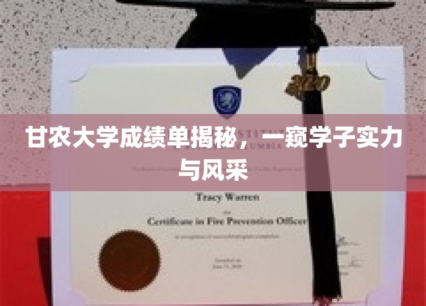 甘农大学成绩单揭秘，一窥学子实力与风采