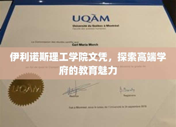 伊利诺斯理工学院文凭，领略高端学府的教育风采