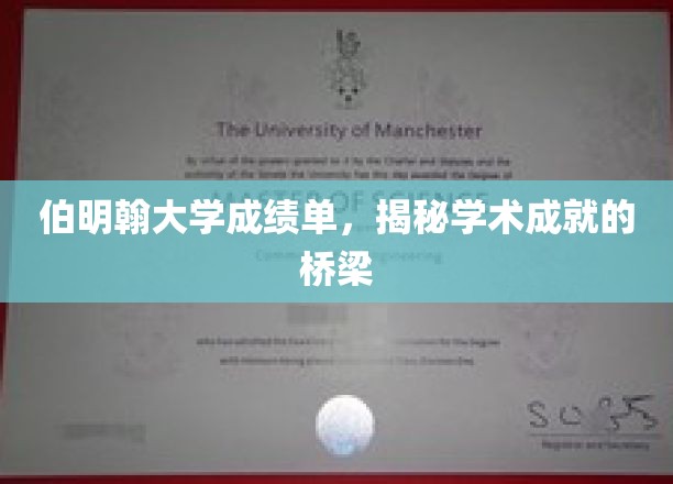 伯明翰大学成绩单，解锁学术辉煌的通行证