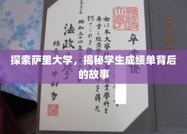 解码萨里学子成绩单，一窥大学背后的学术奥秘