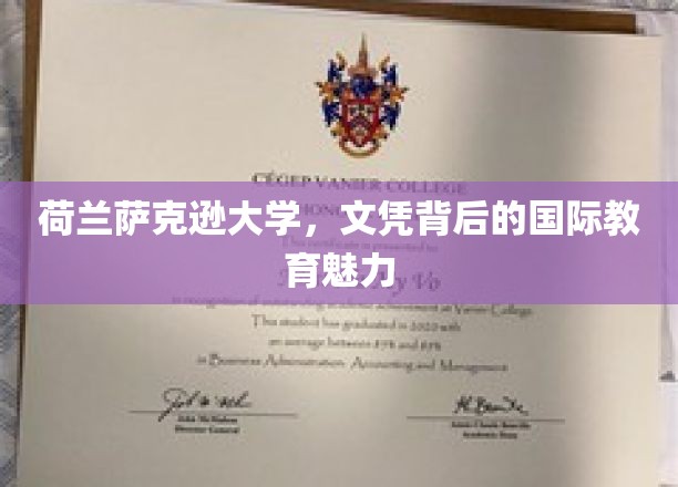荷兰萨克逊大学，文凭背后的国际教育魅力