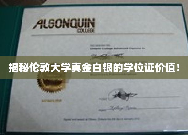揭秘，伦敦大学学位证背后的惊人价值与机遇