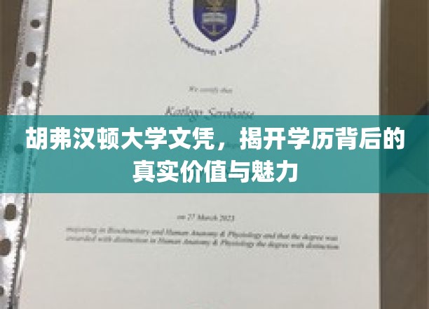学历光环下的胡弗汉顿，探索名校文凭的深层魅力与价值
