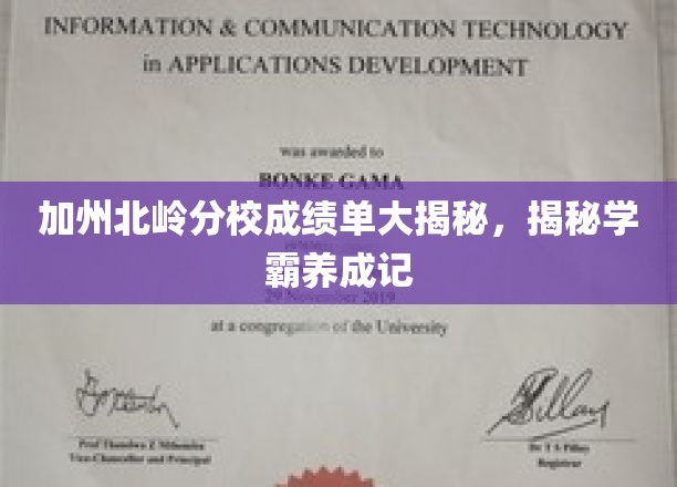 加州北岭分校学霸养成记，揭秘学霸背后的秘密成绩单