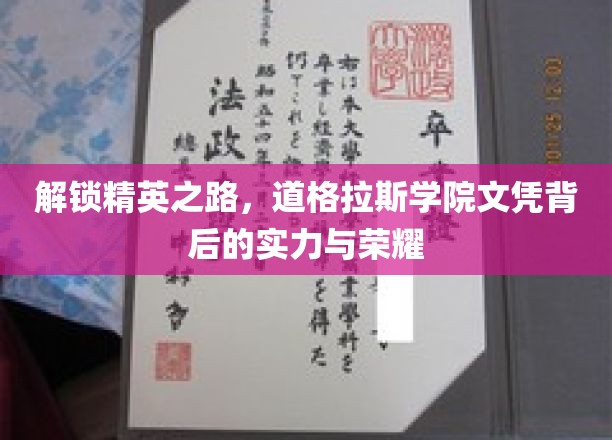 解锁精英之路，道格拉斯学院文凭背后的实力与荣耀