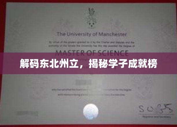 东北州立风云录，学子荣耀榜大揭秘