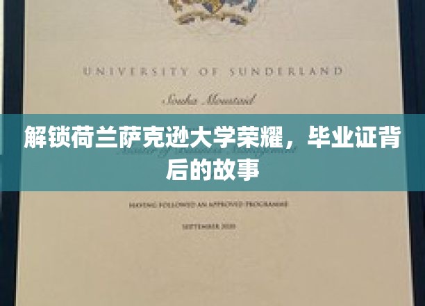 探秘荷兰萨克逊大学辉煌，揭秘毕业证背后的传奇经历