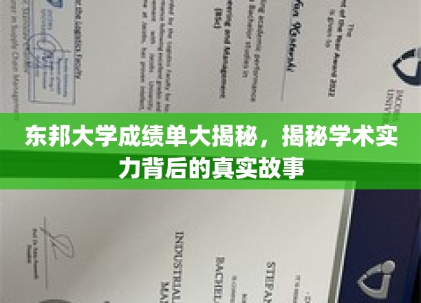 东邦大学成绩单背后，探寻学术实力的真实面貌