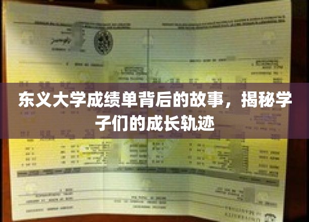 东义学子成长足迹，揭开成绩单背后的精彩篇章
