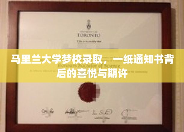 马里兰大学梦校录取，一纸通知书背后的喜悦与期许