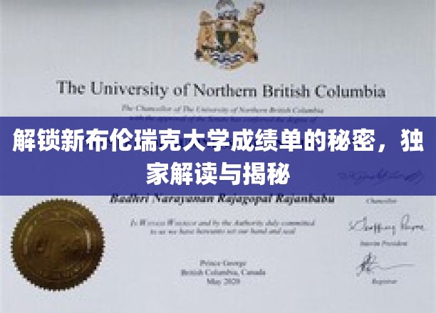 揭秘布伦瑞克大学成绩单背后的隐藏信息，独家解读解锁攻略