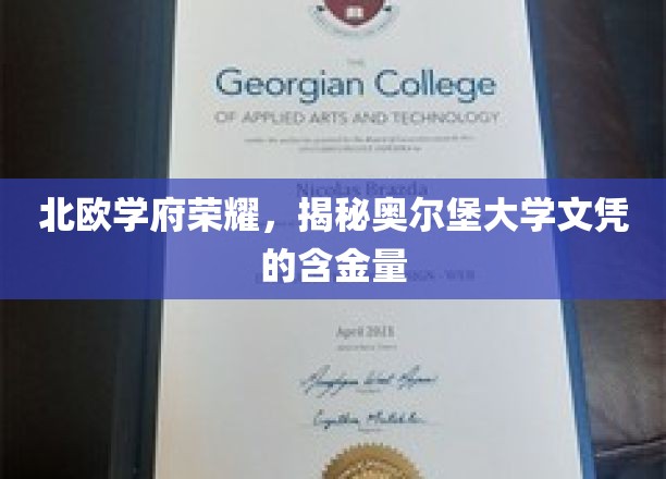 北欧精英摇篮，奥尔堡大学学位的珍贵价值一探究竟