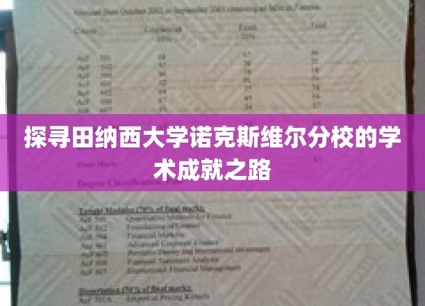 揭开田纳西大学诺克斯维尔分校学术辉煌背后的神秘面纱
