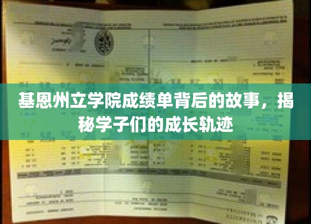 基恩州立学院成绩单背后，学子成长轨迹的精彩篇章