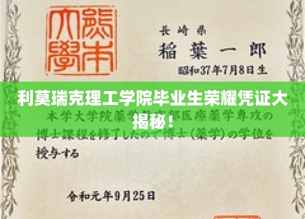 利莫瑞克理工学院毕业生荣耀凭证大揭秘！