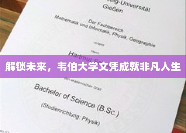解锁未来，韦伯大学文凭成就非凡人生
