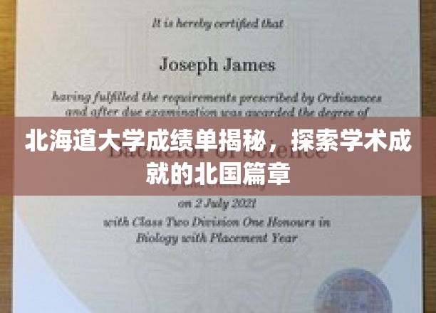 北海道大学成绩单揭秘，探索学术成就的北国篇章