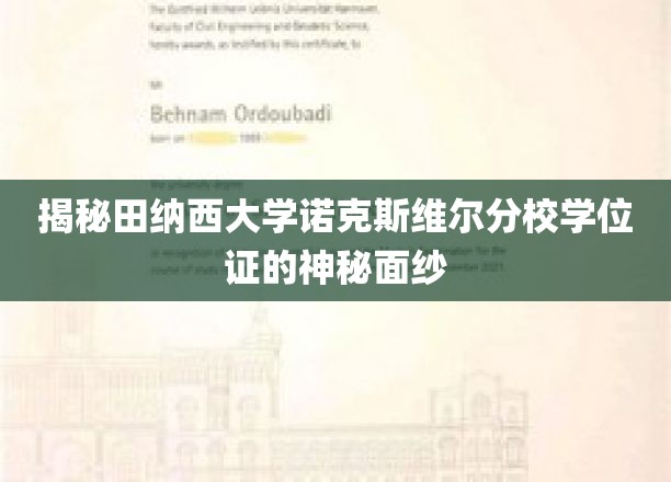 揭开田纳西大学诺克斯维尔分校学位证的神秘面纱，探索背后的故事与象征