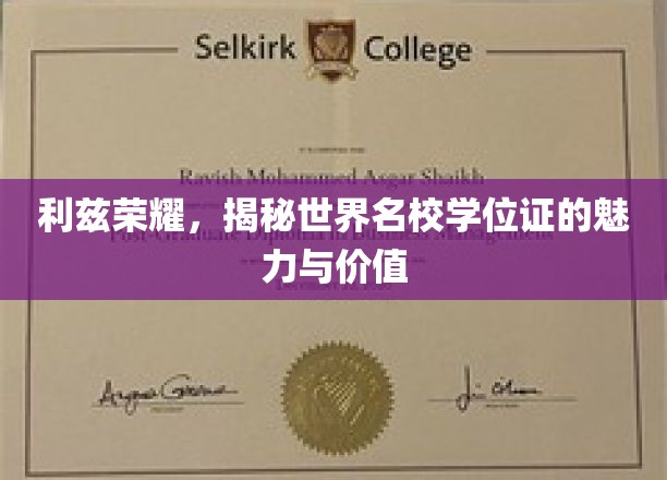 探寻利兹荣耀，世界名校学位证的非凡魅力与深远价值