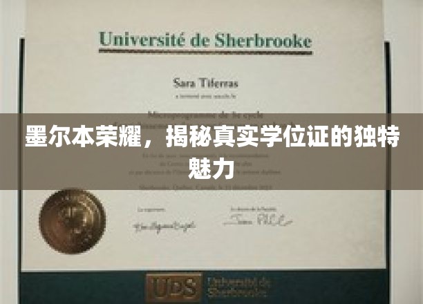 墨尔本荣耀揭秘，学位证的非凡魅力与真实奥秘