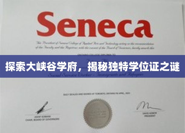 峡谷秘境学府之谜，探寻不凡学位证的奥秘