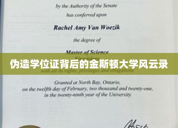 学历造假风波，揭秘金斯顿大学背后的真相与谜团